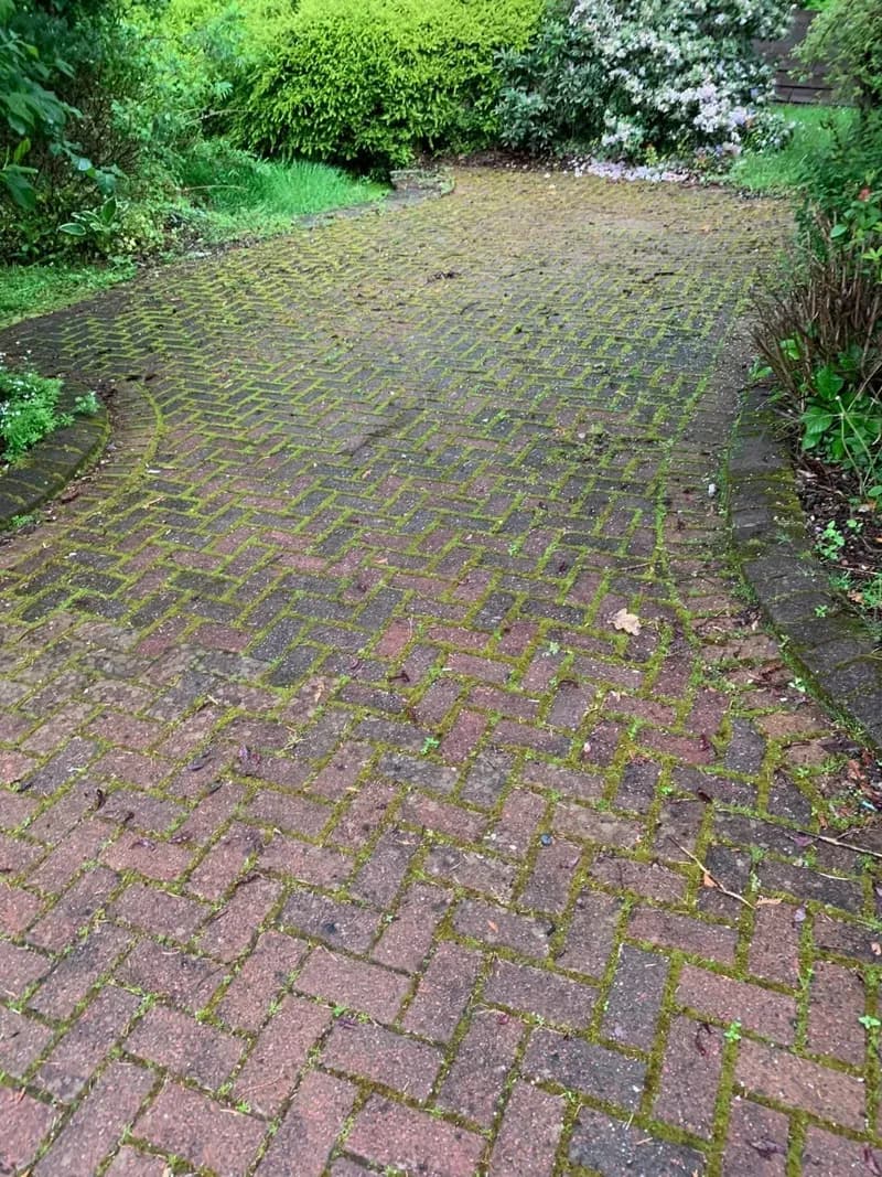 Herringbone block paved driveway with heavy moss and dirt in the joints before powerwashing, Co. Tyrone
